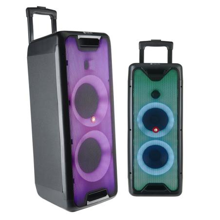 ALTAVOCES NGS WILD RAVE 2 300W DOBLE SUBWOOFER 8 LED USB/AUX/BLUETOOTH